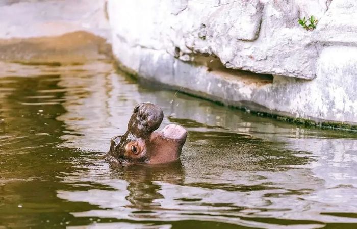 湖州苏湖熟天下足